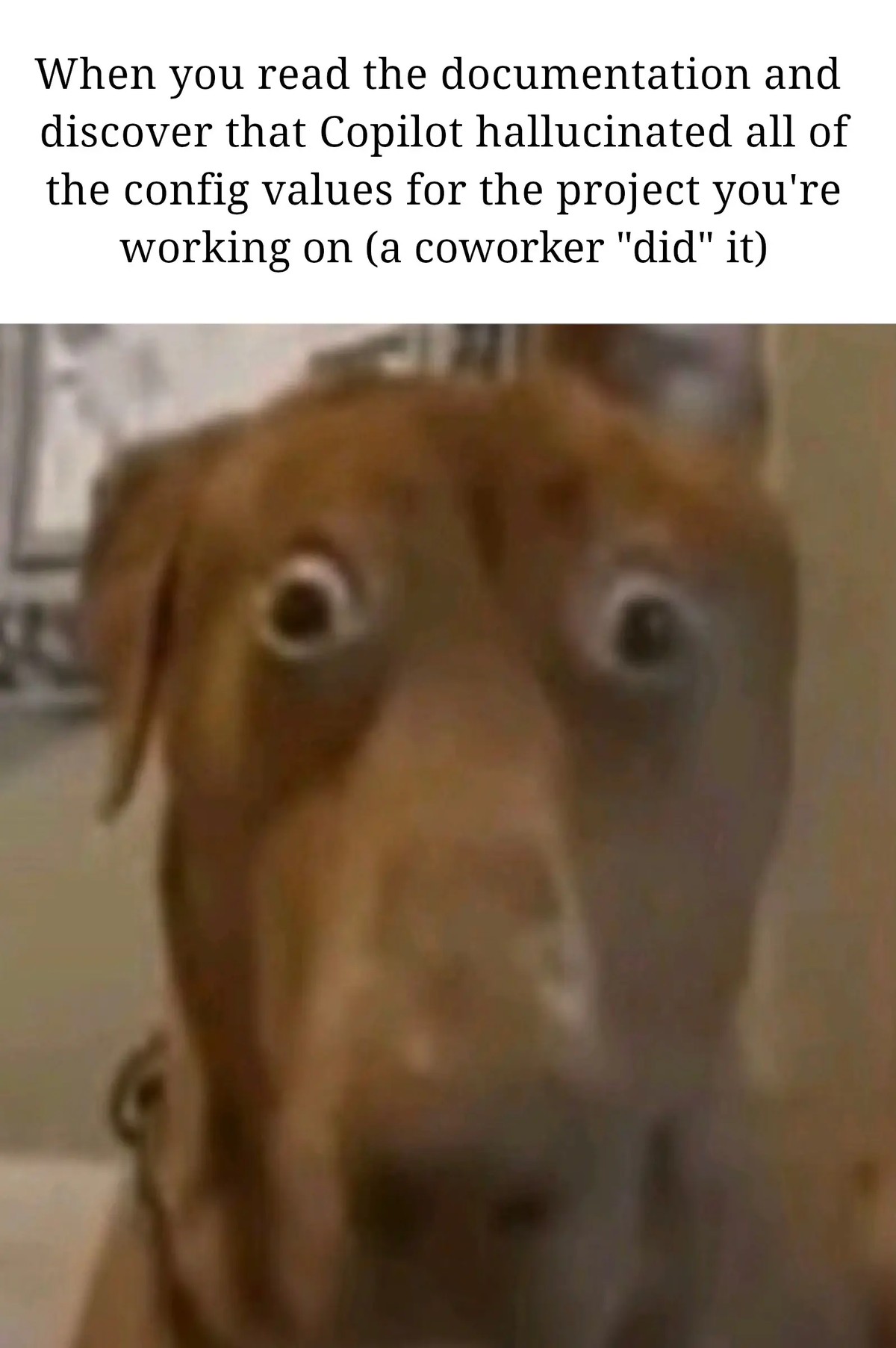 Top text: When you read the documentation and discover that Copilot hallucinated all the config values for the project you're working on (a coworker "did" it). Bottom image: dog making horrified face