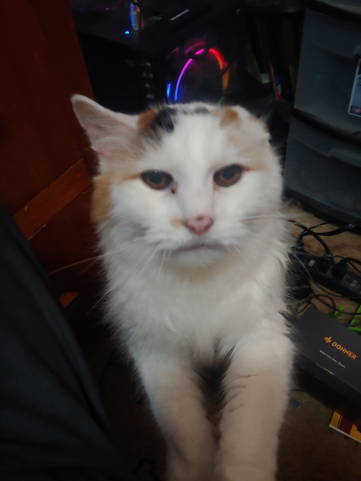 My old lady