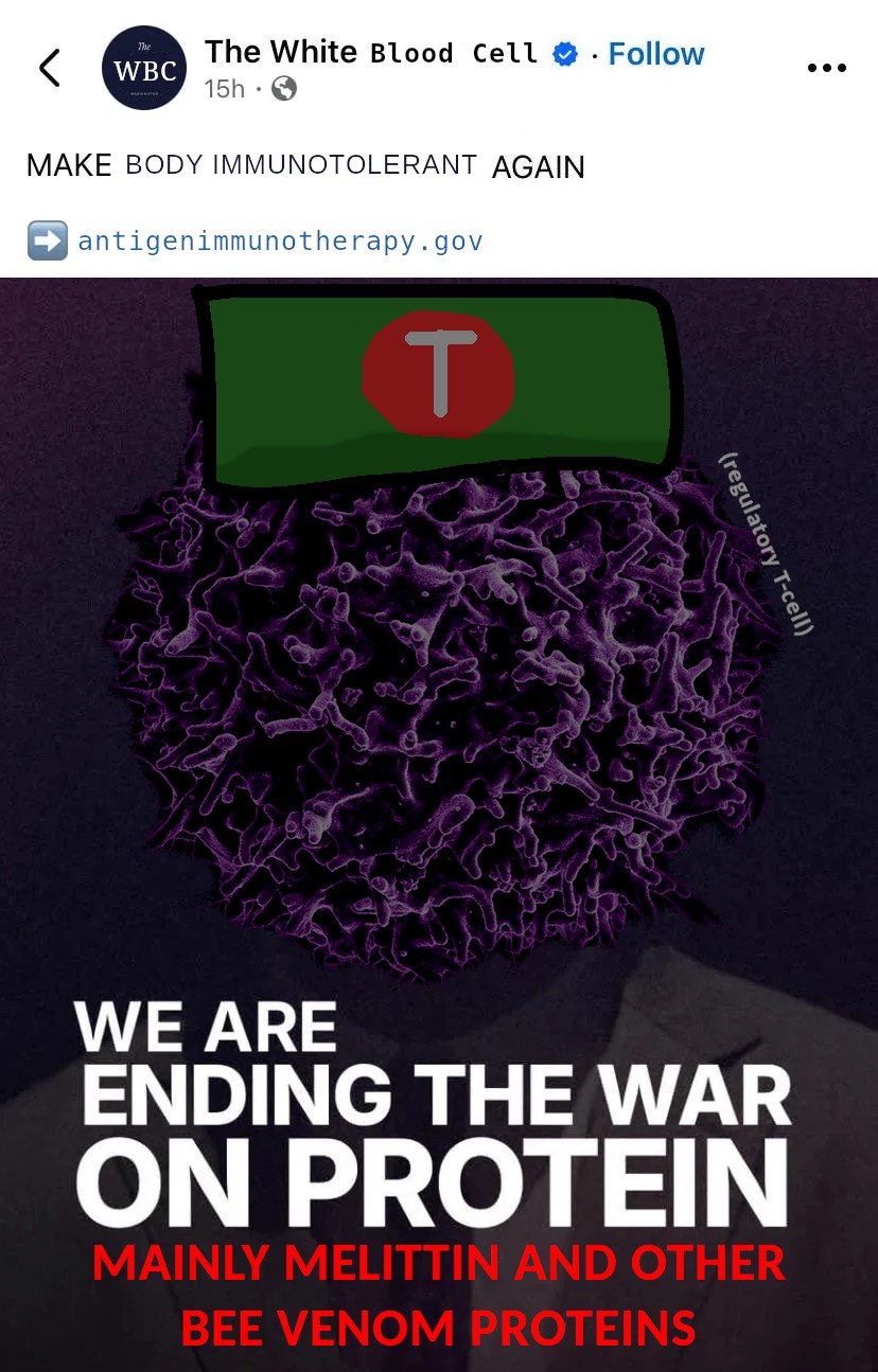 Social media post parodying posts from The White House: Post from "The White Blood cell": Make Body Immunotolerant Again - antigen immunotherapy.gov, underneath is an image reading WE ARE ENDING THE WAR ON PROTEIN - MAINLY MELITTIN AND OTHER BEE VENOM PROTEINS