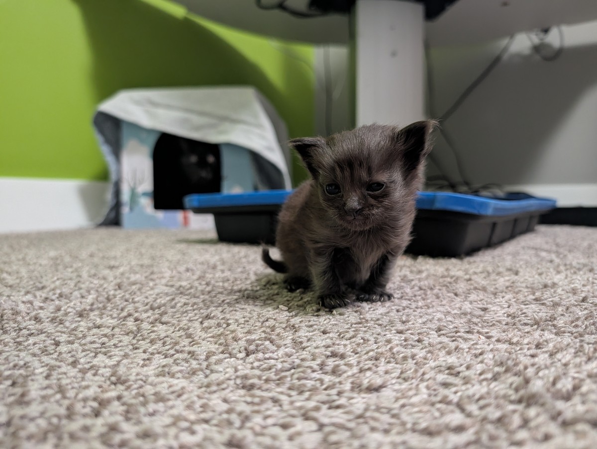 First time braving leaving Mama's side