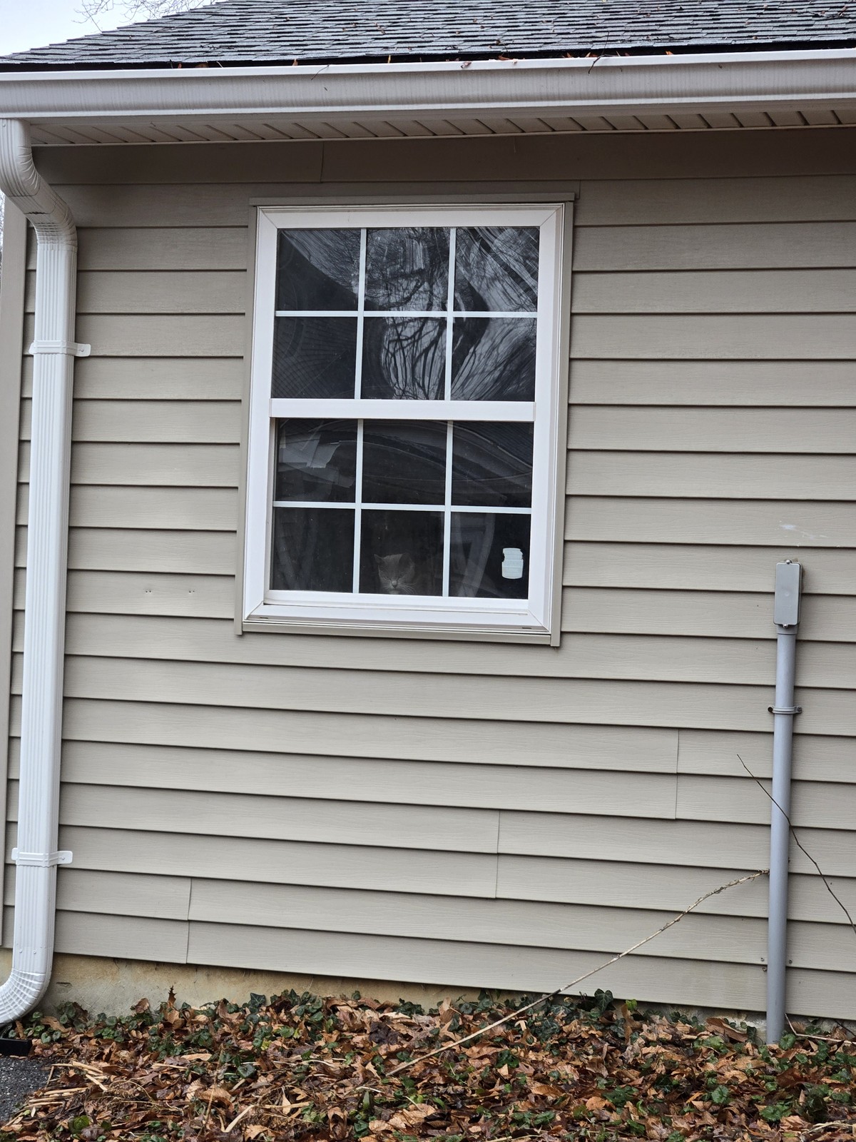 Tubby is trapped in our garage