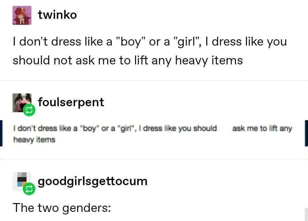 Tumblr post: "I don't dress like a "boy" or a "girl", I dress like you should not ask me to lift any heavy items". Reply: "I don't dress like a "boy" or a 'girl", I dress like you should ask me to lift any heavy items". Reply: "The two genders"