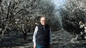‘We’re harvesting the sun’: A huge solar project grows in California