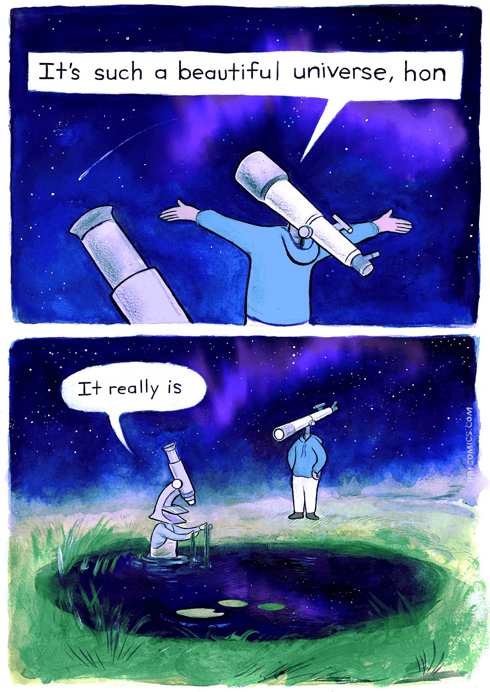 Two-panel comic. Above, a character with a telescope for a head is looking at the night sky and uttering "It's such a beautiful universe, hon". Below, another character with a microscope for a head is looking at algae from a pond, and uttering "It really is"