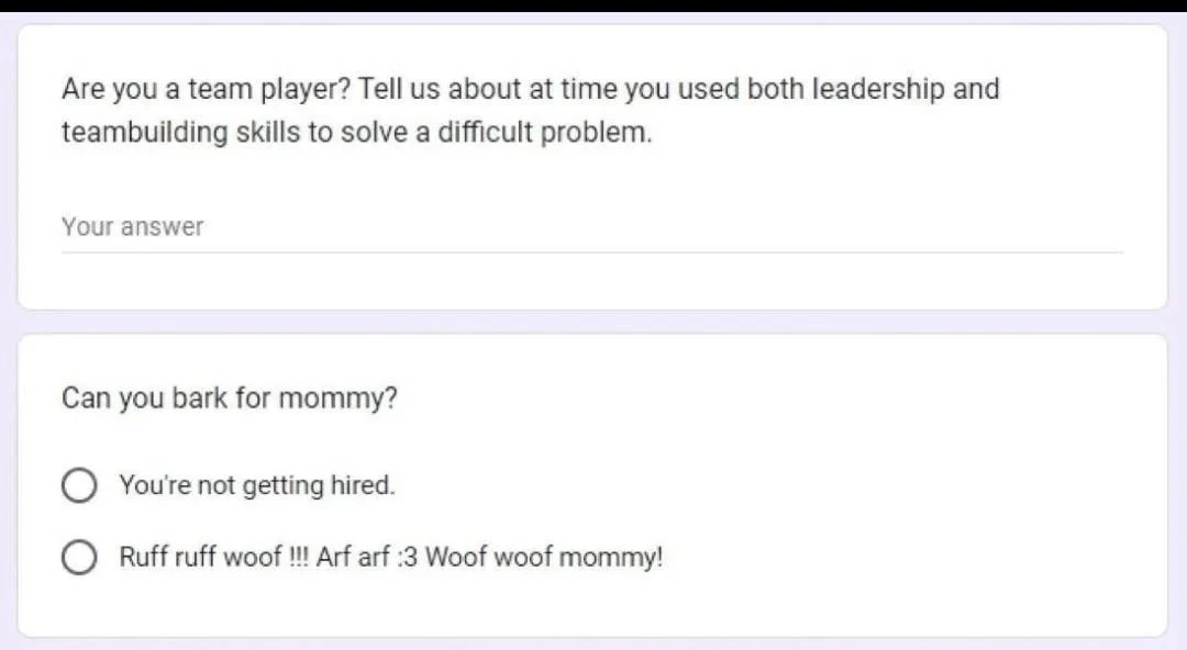 Online Job Interview. Question: "Are you a team player? Tell us about at time you used both leadership and teambuilding skills to solve a difficult problem" with a blank field. Question: "Can you bark for mommy?" Answer one: "You're not getting hired" Answer two: "Ruff ruff woof !!! Arf arf :3 Woof woof mommy!"