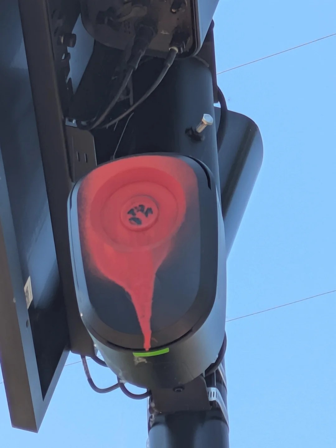 A picture of a flock camera getting what it deserves